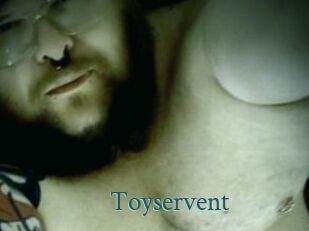 Toyservent