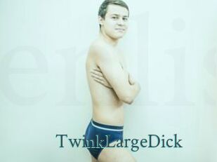 TwinkLargeDick