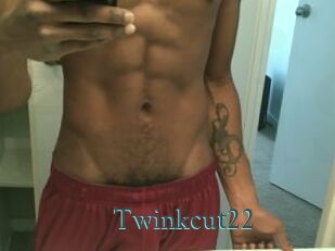 Twinkcut22