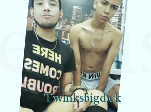 Twinksbigdick
