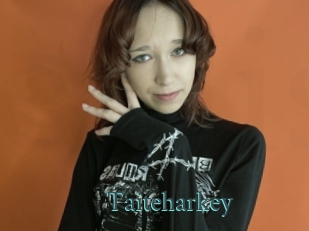 Taiteharkey