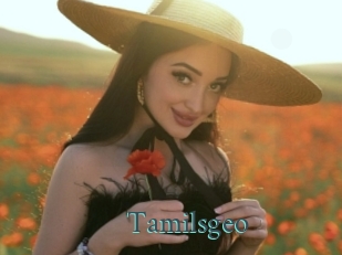 Tamilsgeo