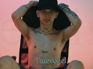 Tatevogel