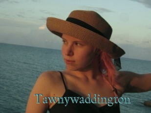 Tawnywaddington