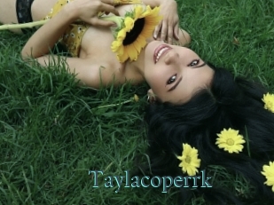 Taylacoperrk