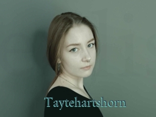 Taytehartshorn