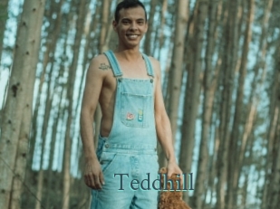 Teddhill