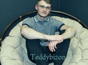 Teddybizon