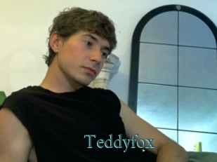 Teddyfox
