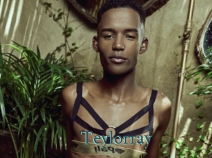 Teylorray