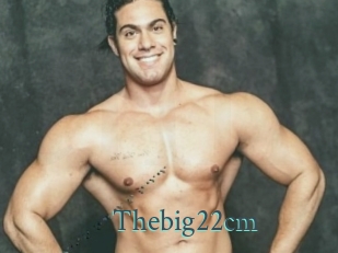 Thebig22cm