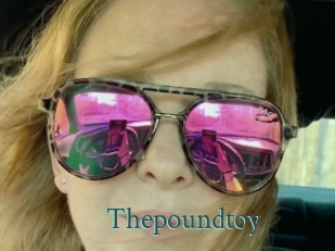 Thepoundtoy