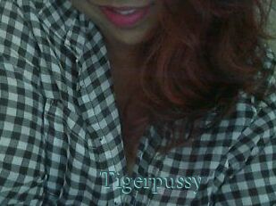 Tigerpussy