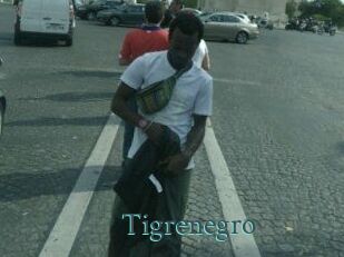 Tigrenegro