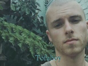 Tofu_boy