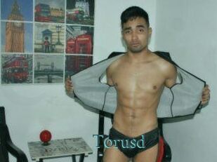 Torusd