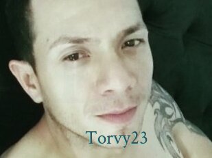 Torvy23