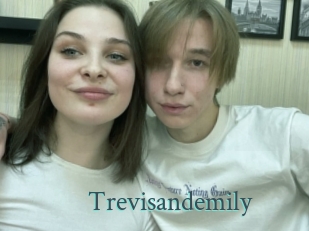 Trevisandemily
