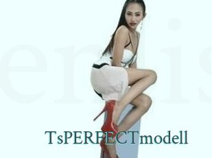 TsPERFECTmodell