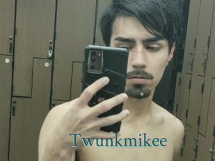 Twunkmikee