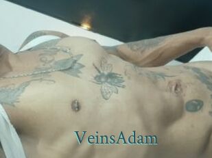 VeinsAdam