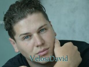 VelosaDavid