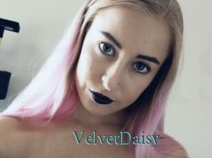VelvetDaisy