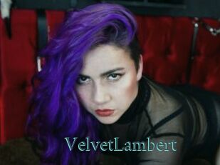 VelvetLambert