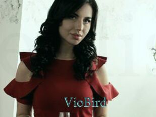 VioBird