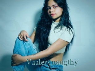 Vaalerynaugthy