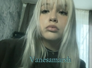 Vanesamarsh