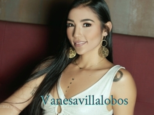 Vanesavillalobos