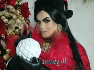 vannegill En live show