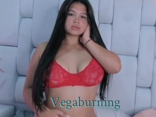 Vegaburning