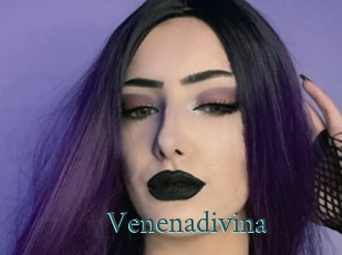Venenadivina