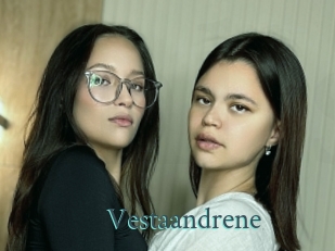 vestaandrene En live show