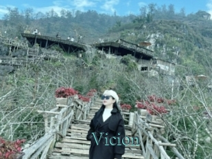 Vicion