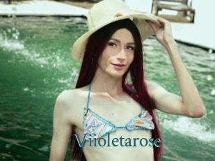Viioletarose
