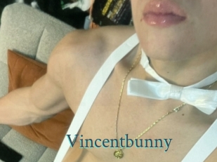 Vincentbunny