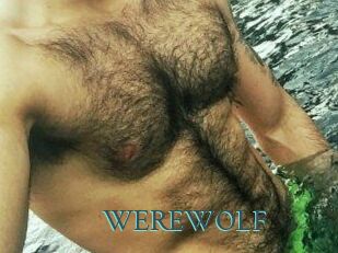 WEREWOLF