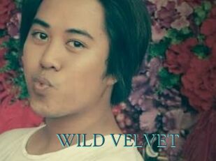 WILD_VELVET