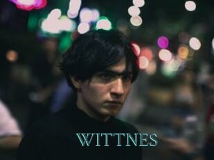 WITTNES