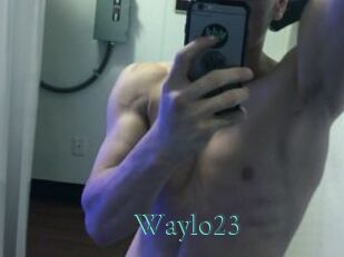 Waylo23
