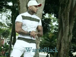 WayneBlack
