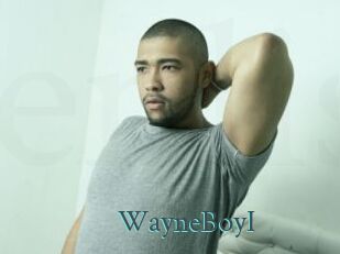 WayneBoyI