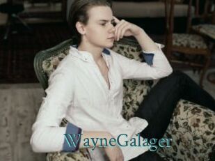 WayneGalager