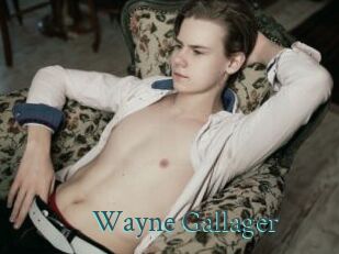 Wayne_Gallager
