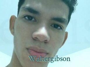Waltergibson