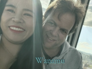 Wanamu