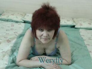 Weryfly